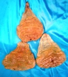 Click để xem hình lớn
